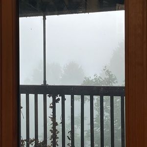 Meet your Posher, Annie